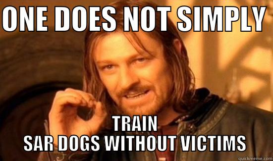 ONE DOES NOT SIMPLY  TRAIN SAR DOGS WITHOUT VICTIMS Boromir