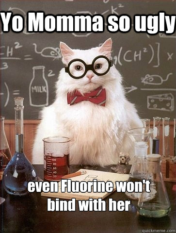 Yo Momma so ugly even Fluorine won't
bind with her - Yo Momma so ugly even Fluorine won't
bind with her  Chemistry Cat