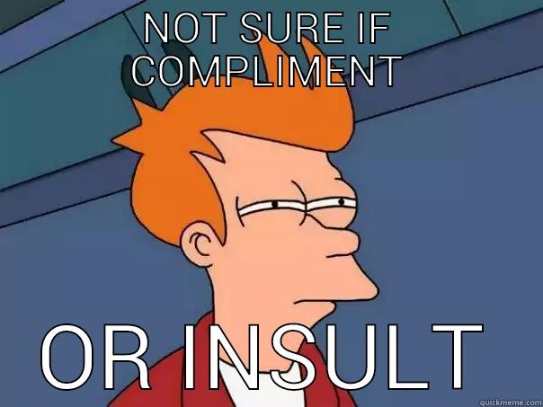 not sure  - NOT SURE IF COMPLIMENT OR INSULT Futurama Fry