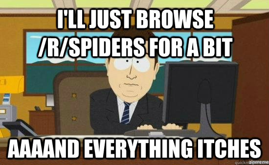 I'll just browse /r/spiders for a bit  aaaand everything itches  aaaand its gone