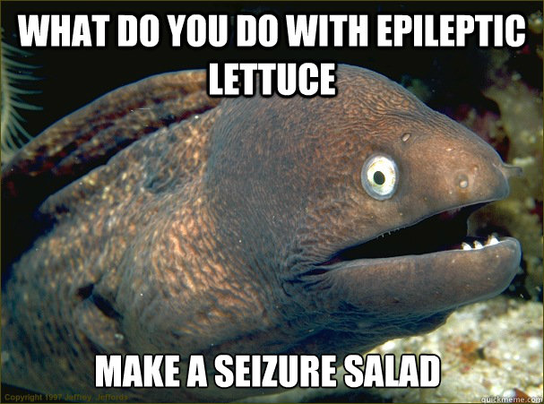 what do you do with epileptic lettuce Make a seizure salad  Bad Joke Eel