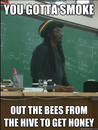 you gotta smoke out the bees from the hive to get honey  Rasta Science Teacher