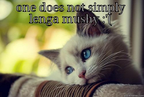 ONE DOES NOT SIMPLY LENGA MUSHY :'(  First World Problems Cat