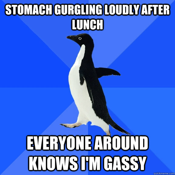 Stomach gurgling loudly After lunch everyone around knows i'm gassy - Stomach gurgling loudly After lunch everyone around knows i'm gassy  Socially Awkward Penguin