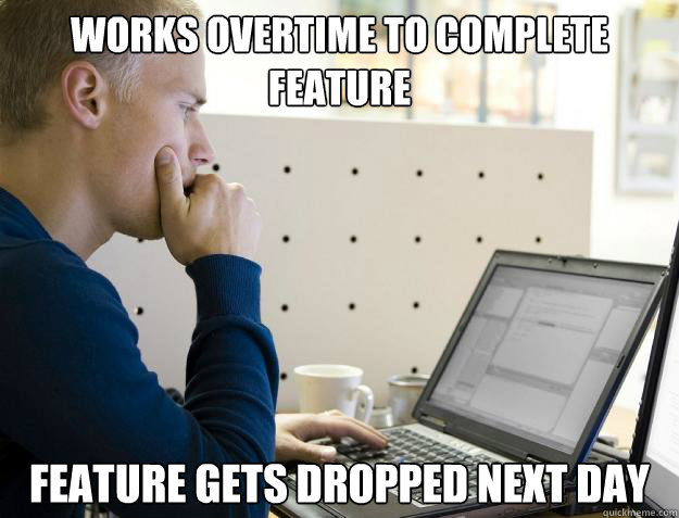 WORKS OVERTIME TO COMPLETE FEATURE FEATURE GETS DROPPED NEXT DAY  Programmer