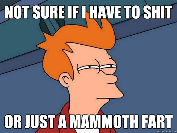 not sure if i have to shit Or just a mammoth fart  Futurama Fry