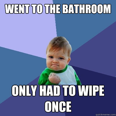 Went to the bathroom only had to wipe once  Success Kid