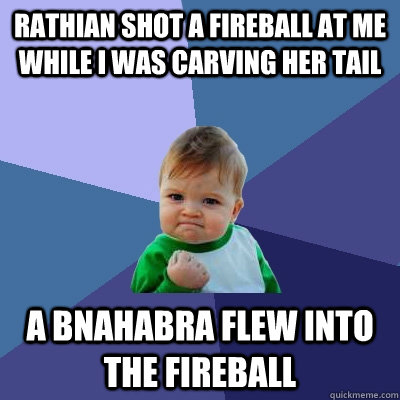 Rathian shot a fireball at me while I was carving her tail A Bnahabra flew into the fireball  Success Kid