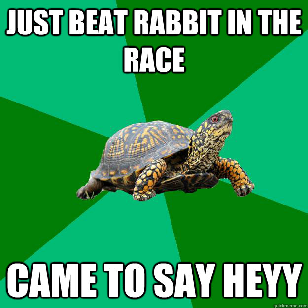 Just beat rabbit in the race came to say heyy  Torrenting Turtle