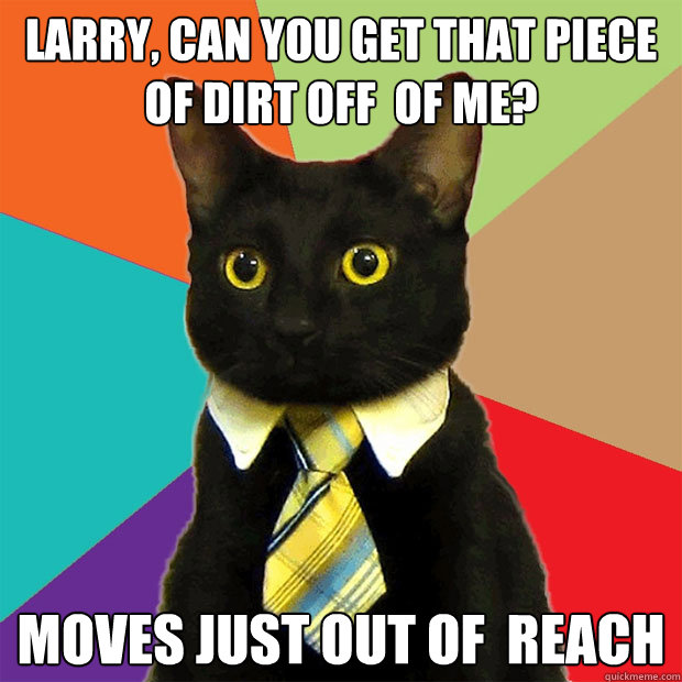 Larry, can you get that piece of dirt off  of me? moves just out of  reach  Business Cat