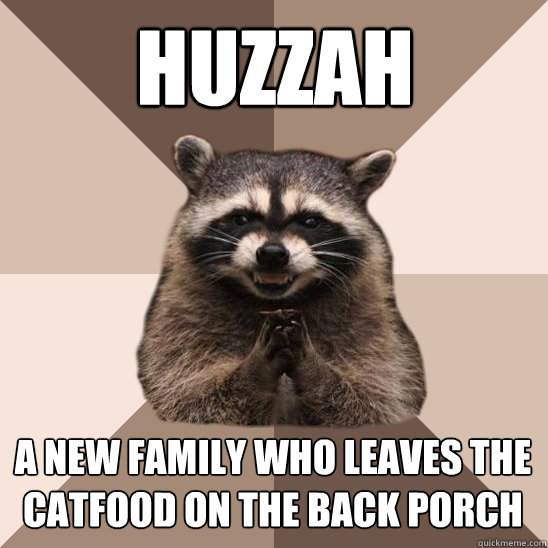 huzzah a new family who leaves the catfood on the back porch - huzzah a new family who leaves the catfood on the back porch  Evil Plotting Raccoon