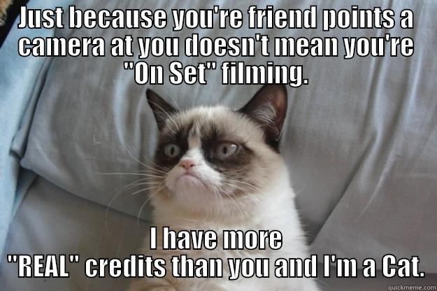 Grumpy's Truth - JUST BECAUSE YOU'RE FRIEND POINTS A CAMERA AT YOU DOESN'T MEAN YOU'RE 