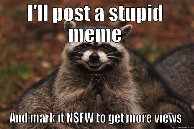 I'LL POST A STUPID MEME AND MARK IT NSFW TO GET MORE VIEWS Evil Plotting Raccoon