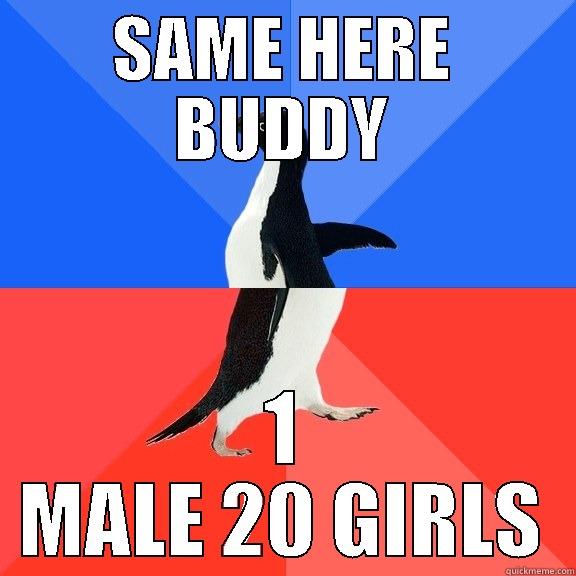 SAME HERE BUDDY 1 MALE 20 GIRLS Socially Awkward Awesome Penguin