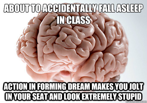 about to accidentally fall asleep in class action in forming dream makes you jolt in your seat and look extremely stupid  Scumbag Brain