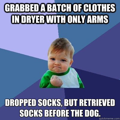 Grabbed a batch of clothes in dryer with only arms Dropped socks, but retrieved socks before the dog.  Success Kid