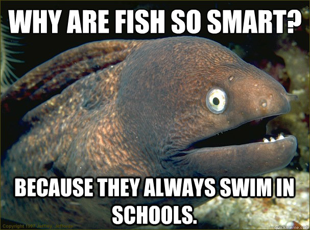 why are fish so smart?
 Because they always swim in schools.  Bad Joke Eel