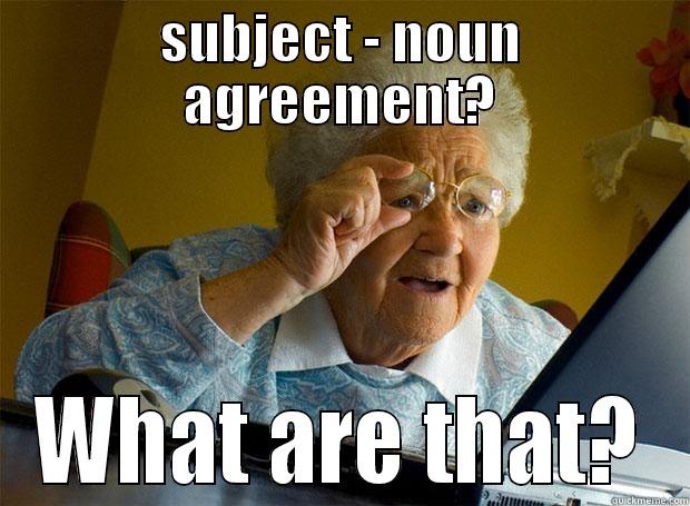 SUBJECT - NOUN AGREEMENT? WHAT ARE THAT? Grandma finds the Internet