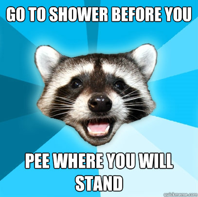 GO TO SHOWER BEFORE YOU PEE WHERE YOU WILL STAND  Lame Pun Coon