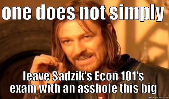 ONE DOES NOT SIMPLY  LEAVE SADZIK'S ECON 101'S EXAM WITH AN ASSHOLE THIS BIG Boromir