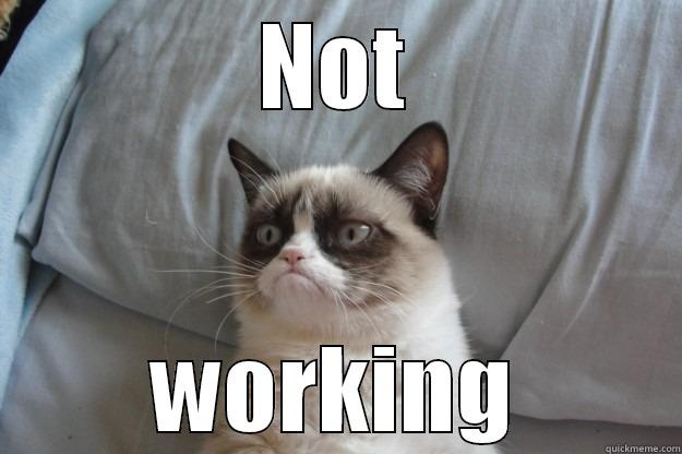 not working - NOT WORKING Grumpy Cat