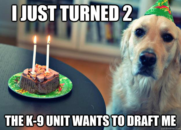 i just turned 2 the k-9 unit wants to draft me  Sad Birthday Dog