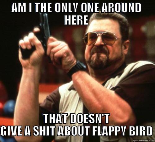 AM I THE ONLY ONE AROUND HERE THAT DOESN'T GIVE A SHIT ABOUT FLAPPY BIRD Am I The Only One Around Here