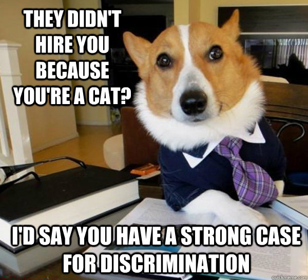 They didn't hire you because you're a cat? I'd say you have a strong case for discrimination - They didn't hire you because you're a cat? I'd say you have a strong case for discrimination  Lawyer Dog