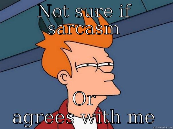 NOT SURE IF SARCASM OR AGREES WITH ME Futurama Fry