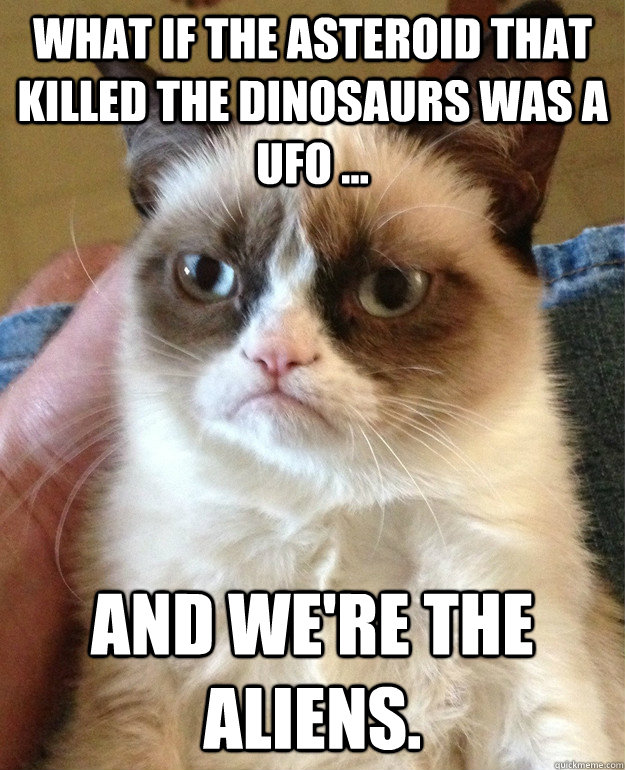 What if the asteroid that killed the dinosaurs was a UFO ... and we're the aliens.  Grumpy Cat