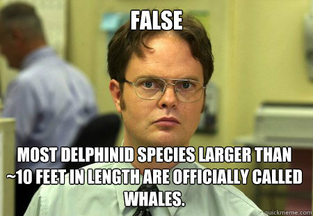 FALSE Most delphinid species larger than ~10 feet in length are officially called whales.   Dwight