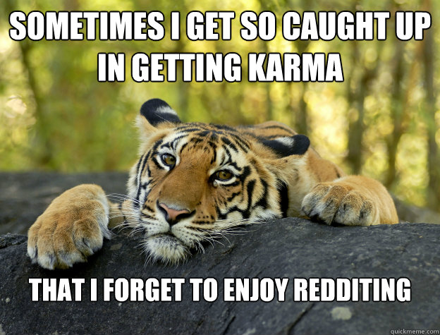 Sometimes I get so caught up in getting karma that I forget to enjoy redditing  Confession Tiger