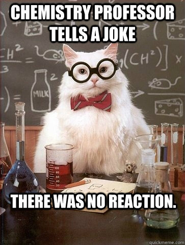 Chemistry professor tells a joke There was no reaction.  Chemistry Cat