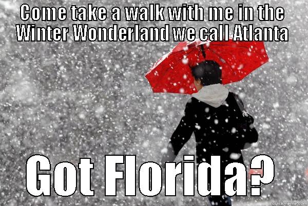 winter wonderland - COME TAKE A WALK WITH ME IN THE WINTER WONDERLAND WE CALL ATLANTA GOT FLORIDA? Misc