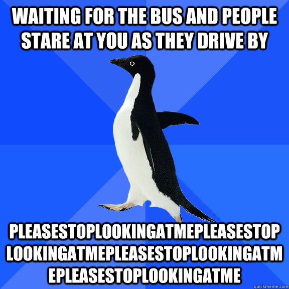 Waiting for the bus and people stare at you as they drive by  pleasestoplookingatmepleasestoplookingatmepleasestoplookingatmepleasestoplookingatme  Socially Awkward Penguin