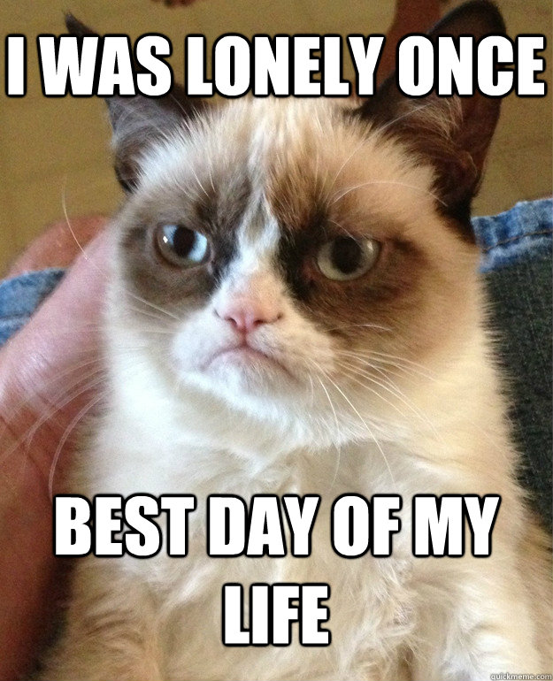 I was lonely once best day of my life  Grumpy Cat