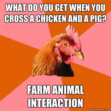 What do you get when you cross a chicken and a pig? Farm animal interaction  Anti-Joke Chicken