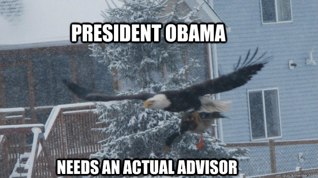 PResident Obama needs an actual advisor - PResident Obama needs an actual advisor  Misc