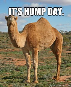 It's hump day.  