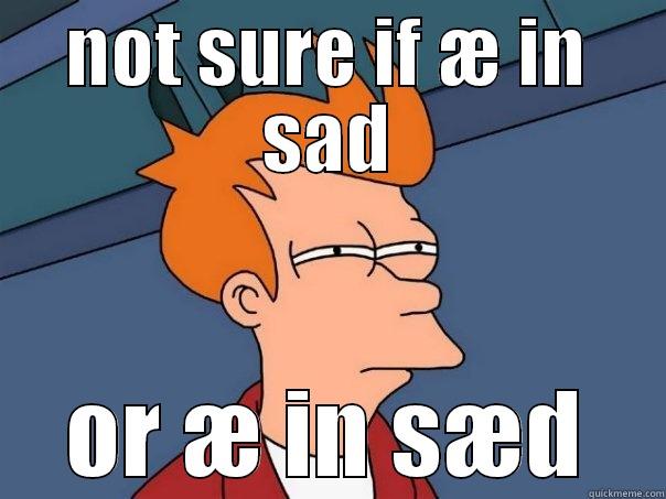 NOT SURE IF Æ IN SAD OR Æ IN SÆD Futurama Fry