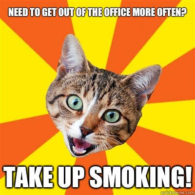 Need to get out of the office more often? Take up smoking!  Bad Advice Cat