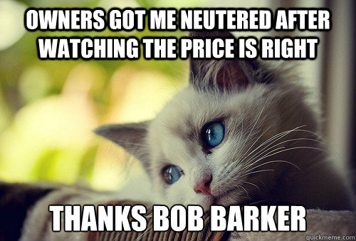 Owners got me neutered after watching the price is right thanks Bob barker  First World Problems Cat