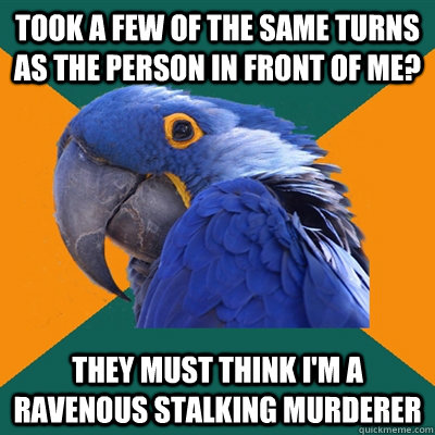 Took a few of the same turns as the person in front of me? they must think i'm a ravenous stalking murderer  Paranoid Parrot