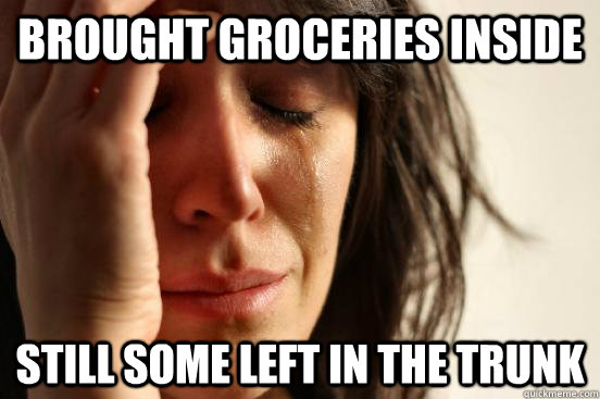 brought groceries inside still some left in the trunk  First World Problems