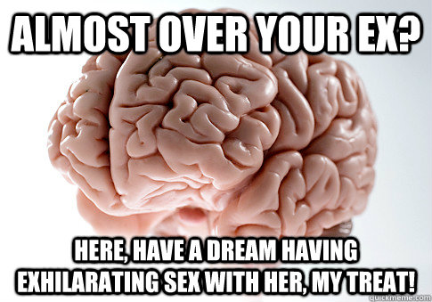 Almost over your EX? Here, have a dream having exhilarating sex with her, my treat!   Scumbag Brain