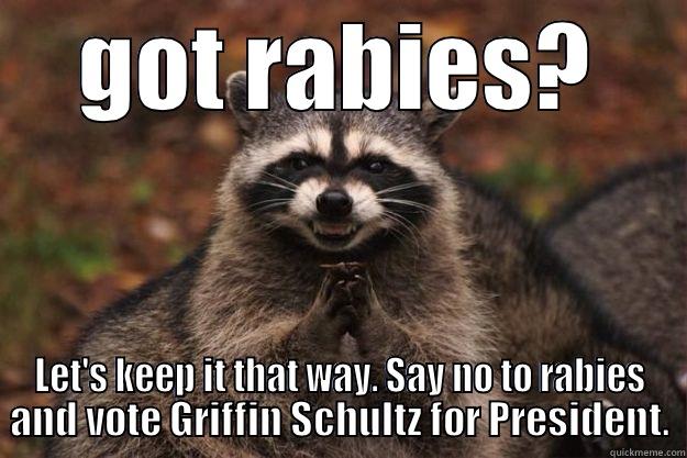 rabies babies - GOT RABIES? LET'S KEEP IT THAT WAY. SAY NO TO RABIES AND VOTE GRIFFIN SCHULTZ FOR PRESIDENT. Evil Plotting Raccoon