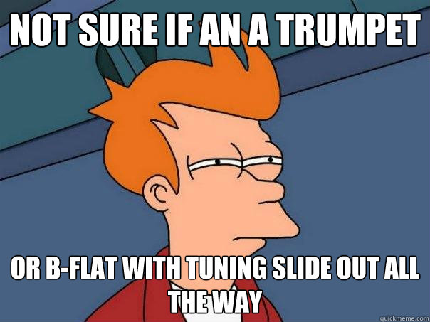 Not sure if An A Trumpet or b-flat with tuning slide out all the way  Futurama Fry