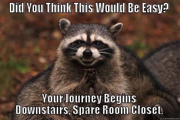 Clue 1 - DID YOU THINK THIS WOULD BE EASY? YOUR JOURNEY BEGINS DOWNSTAIRS, SPARE ROOM CLOSET. Evil Plotting Raccoon