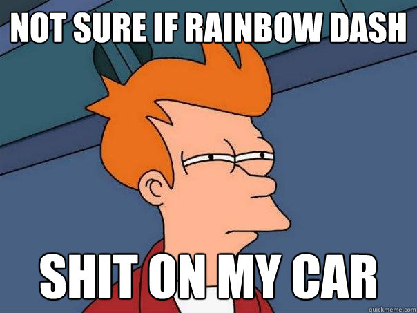 Not sure if Rainbow Dash Shit on my car - Not sure if Rainbow Dash Shit on my car  Futurama Fry