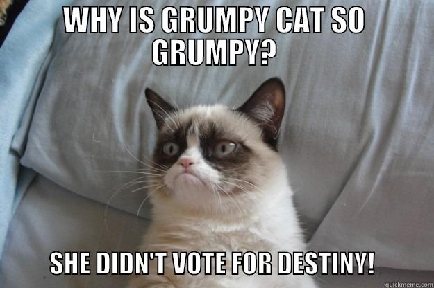 WHY IS GRUMPY CAT SO GRUMPY?                   SHE DIDN'T VOTE FOR DESTINY!            Grumpy Cat